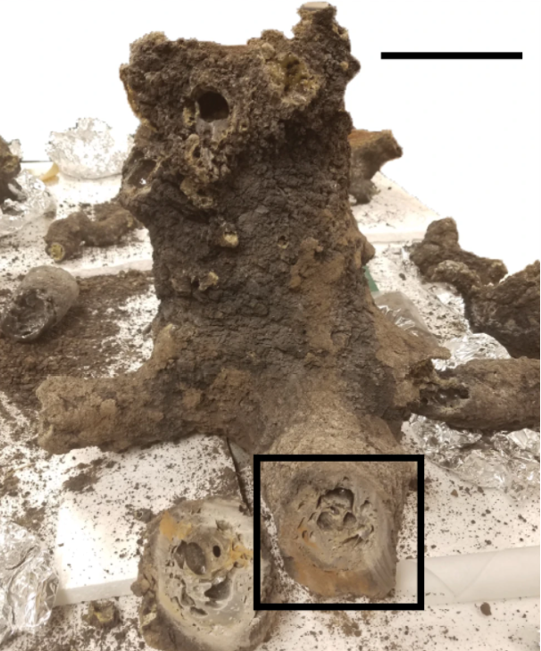 2016년 미국 일리노이주의 한 가정집 뒷마당에서 번개가 내리치면서 생성된 섬전암. 검은색 사각형이 이번 연구에 분석된&nbsp;부위다. 네이처 커뮤니케이션스 제공