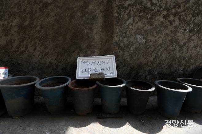 아파트 인근 화분 위에 담배 꽁초를 버리지 말라는 안내문이 놓여있다. / 권도현 기자