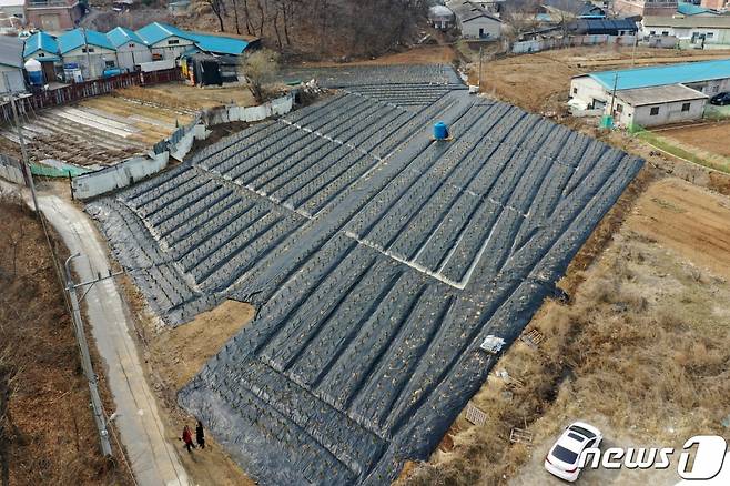 LH직원들이 사들인 경기도 시흥시 과림동 소재 농지 전경. /사진제공=뉴스1
