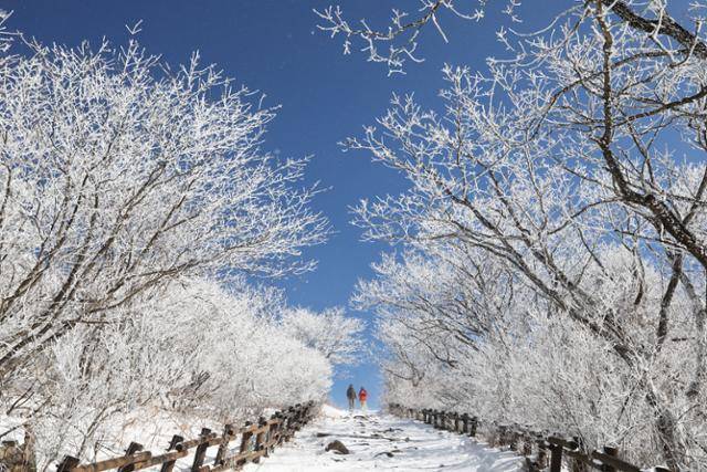 해발 1,500m가 넘는 고지대여서 노고단에는 3~4월에도 눈이 내린다. 운이 좋으면 멋진 설경을 볼 수 있다. ⓒ박준규