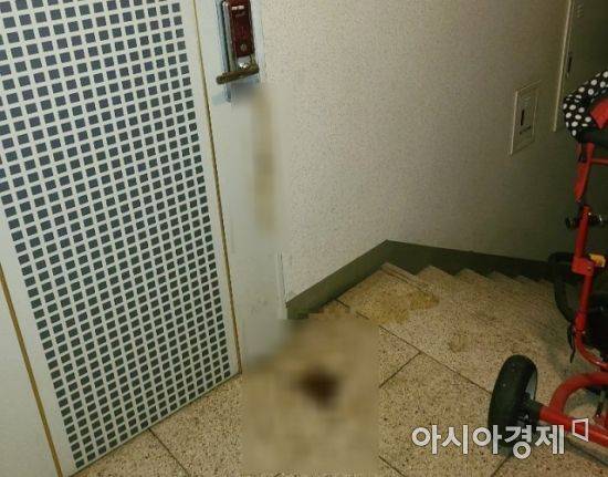 지난해 12월28일 한 온라인 커뮤니티에 올라온 '아파트 현관문 앞에 똥 테러 당했습니다' 게시물 관련 사진.
사진=보배드림 커뮤니터 캡처