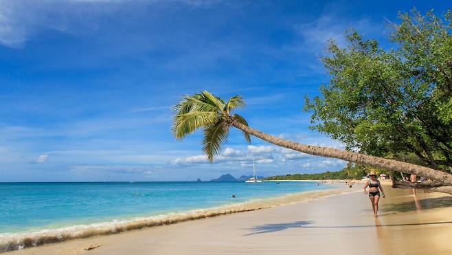 프랑스의 ‘지상낙원’으로 불리는 마르티니크는 카리브해의 제주도보다 작은 섬이다. Pixabay 제공