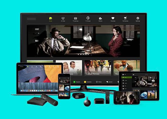 출처: 브라이트코브