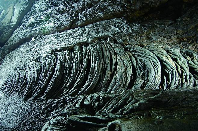 만장굴 바닥의 새끼줄 용암. 흐르던 용암이 밀려서 굳은 흔적이다. 우경식 제공