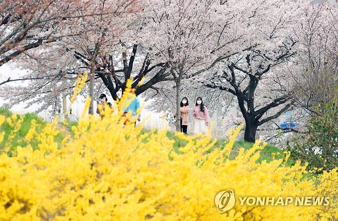 '봄이 피다' [연합뉴스 자료사진]