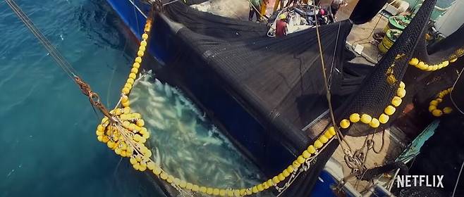 다큐 ‘씨스피라시’의 한 장면. 넷플릭스 제공