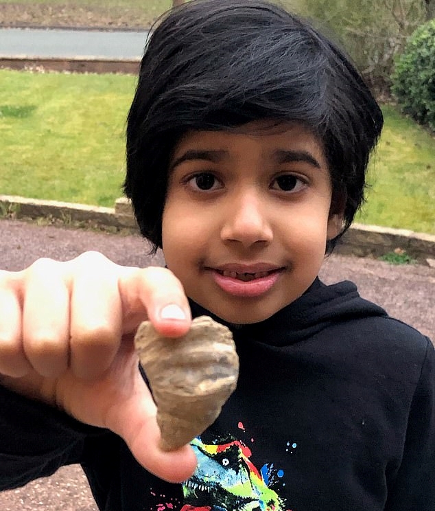 잉글랜드 중부 월솔에 사는 6세 소년 시닥 싱 자맷(사진)이 자신의 집 마당에서 발견한 최대 5억 년 전 고대 산호의 화석