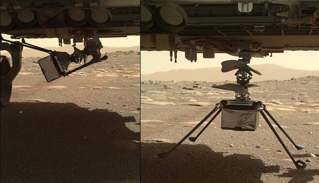 화성탐사선 퍼서비어런스 하단에서 네다리를 펴고 내려앉은 인저뉴어티의 모습. 사진=NASA