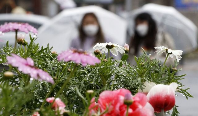 지난달 20일 서울시청 인근에서 시민들이 우산을 쓰고 발걸음을 옮기고 있다.ⓒ뉴시스
