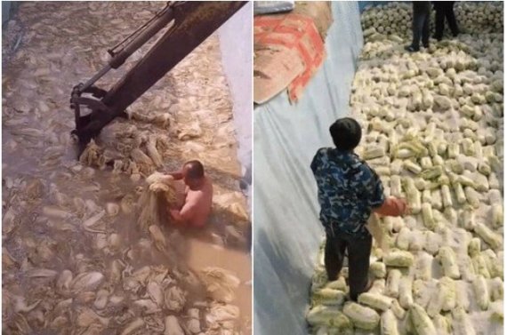 중국 '알몸김치' 동영상에서 알몸의 남자가 배추를 만지고 있다. 굴삭기도 녹이 잔뜩 슬어 있다. (사진=뉴스1)