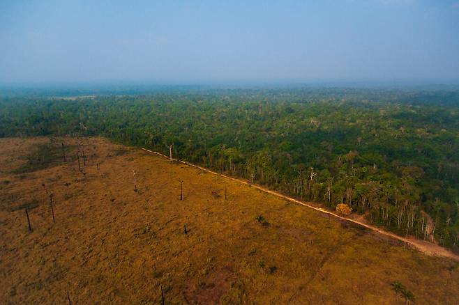 농장을 만들기 위한 불법 벌목으로 훼손된 브라질 아마존 지역 열대우림. 게티이미지뱅크