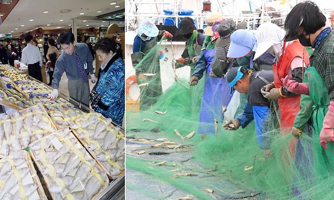 백화점에서 굴비를 파는 모습(왼쪽 사진). 어획량이 많고, 맛도 좋아 ‘국민생선’으로 꼽히기도 하는 조기는 단순한 먹거리로서만이 아니라 오랜 세월 축적된 역사문화적 함의를 갖고 있다. 오른쪽은 그물에 걸린 조기를 털어내는 어부들 모습. 세계일보 자료사진