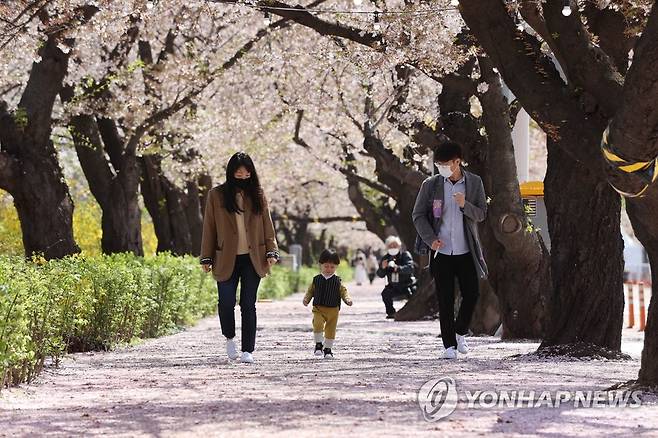 '벚꽃구름 위 사뿐사뿐' (서울=연합뉴스) 임화영 기자 = 여의도 봄꽃축제가 시작된 5일 서울 영등포구 윤중로벚꽃길을 찾은 시민들이 여유롭게 관람하고 있다. 2021.4.5 hwayoung7@yna.co.kr