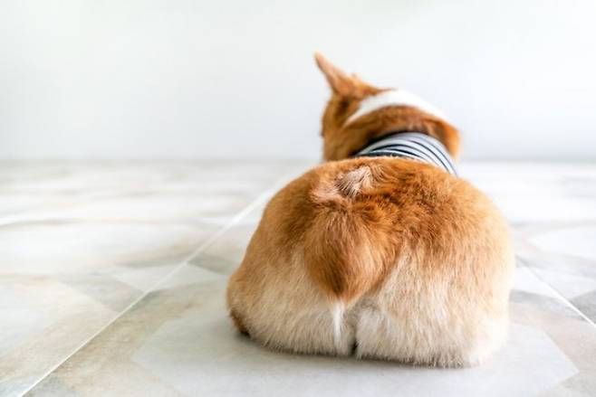 게티이미지뱅크 제공