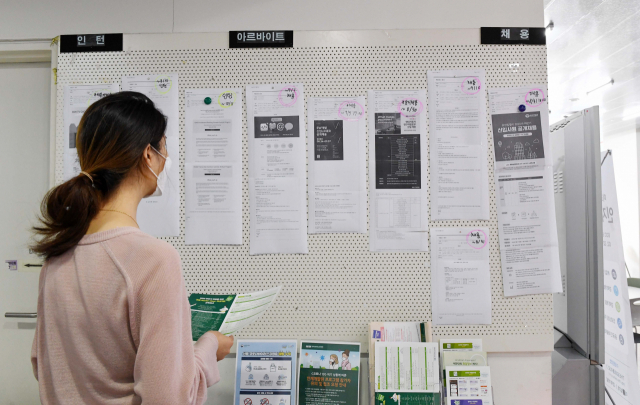 서울의 한 대학교에서 한 학생이 취업게시판을 살펴보고 있다. /서울경제DB
