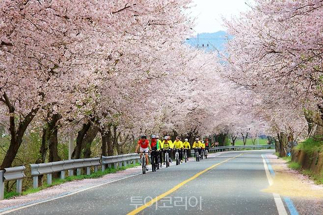 섬진강변 자전거 라이딩