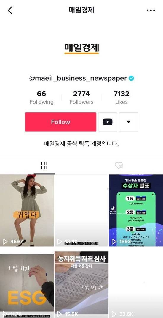 매일경제 틱톡 공식 채널
