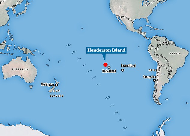 헨더슨 섬은 가장 가까운 대륙인 남아메리카에서 약 4800㎞나 떨어져 있다.(사진=메일온라인)