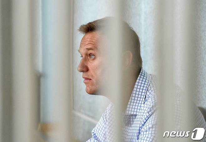 러시아의 대표적인 반체제 인사 알렉세이 나발니. © AFP=뉴스1