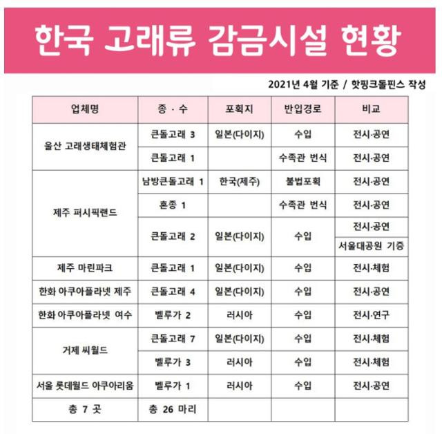 국내 수족관 사육 현황. 핫핑크돌핀스 제공