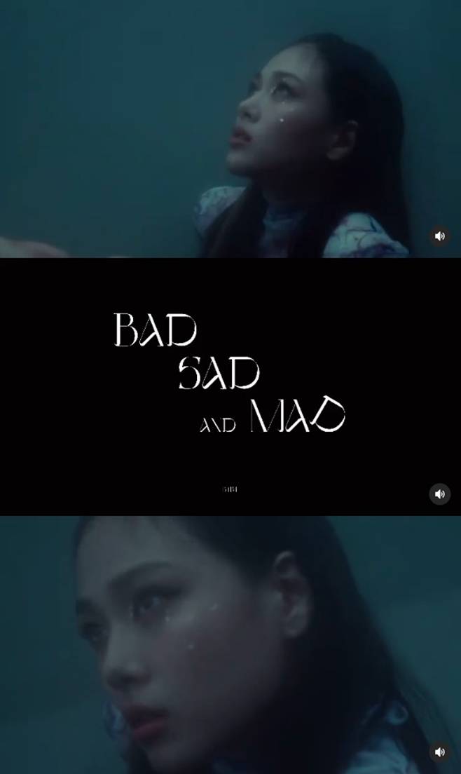 비비