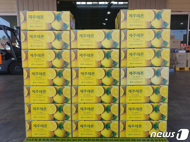 21일 제주농업기술원 동부농업기술센터에 따르면 서귀포시 표선면 성읍리 강성화씨 농가가 재배한 레몬이 지난 20일 홍콩으로 시범수출됐다(제주농업기술원 제공)© 뉴스1