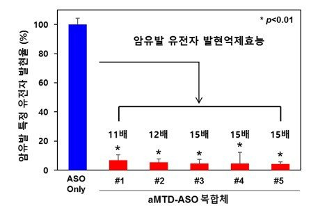 TSDT 플랫폼 기술이 적용된 펩타이드-핵산 복합체(aMTD-ASO conjugate)의 폐암 세포에서의 암 유발 특정 유전자 발현억제효능을 평가한 결과 중 상위 5개 물질. 사진=셀리버리