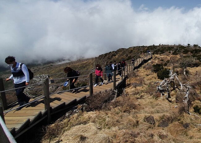 지난 18일 한라산 영실코스로 산을 오르는 등산객들 모습이다. 허호준 기자