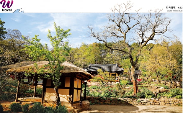 소나무, 대나무, 매화, 국화, 난초 등이 어우러진 백운동원림. 조선시대 원림의 극치를 보여준다.
