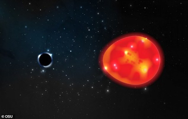 블랙홀과 동반성인 적색거성의 모습을 나타낸 이미지.