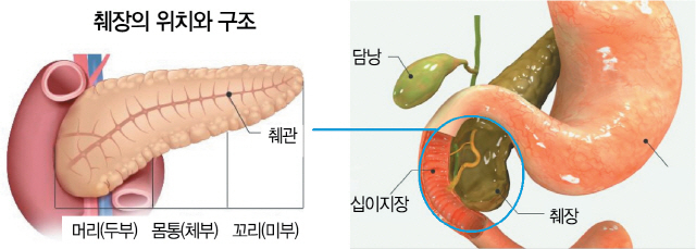 사진제공=분당서울대병원