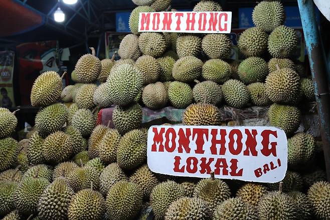 노점에 산더미처럼 쌓여있는 두리안 [자카르타=연합뉴스]