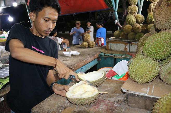 두리안 과육, 3∼5 조각 열어봐야 알아 [자카르타=연합뉴스]