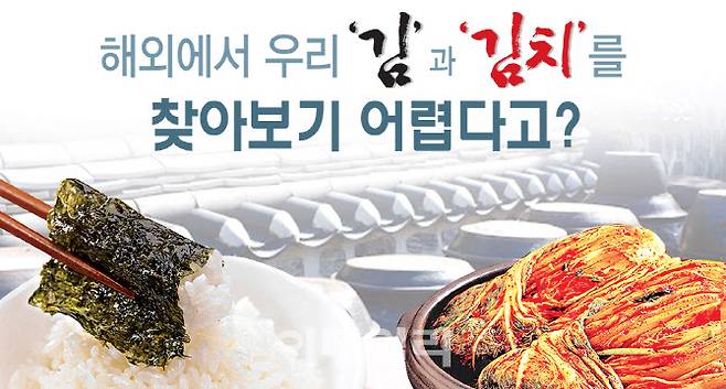 해외에서 우리김 김치 찾아보기 어렵다 [그래픽=이데일리 이미나 기자]