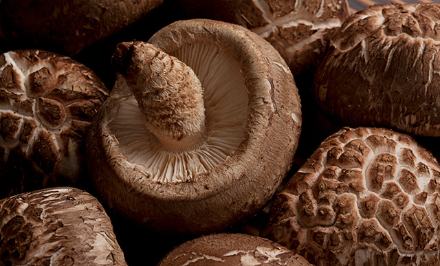 버섯을 즐겨 먹으면 암 발생 위험이 줄어든다./클립아트코리아