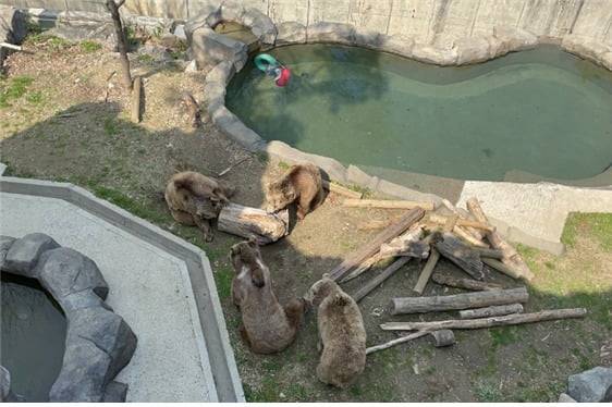 사진= 서울대공원 제공