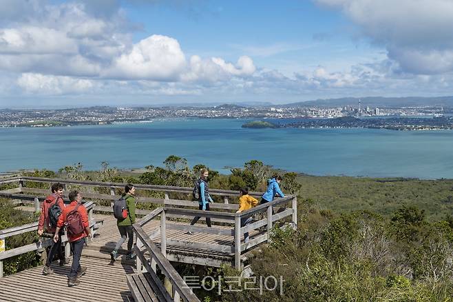 랑기토토 섬 (c) Tourism New Zealand