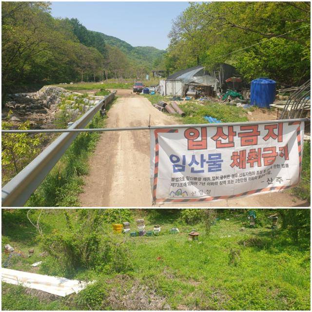 경기 여주시 금사면 장흥리에 있는 이헌 외교부 재외동포영사실장의 밭. 그는 주홍콩총영사관 부총영사로 재직 중일 때 이 밭을 주말체험 영농 목적으로 구입했다. 이 밭 입구에는 현재 '입산금지' 푯말이 있다.(위) 이 푯말을 지나 안쪽으로 들어가면 이 실장 소유의 밭이 나오는 데 휴경 상태로 방치돼있다. 여주=윤태석 기자 sportic@hankookilbo.com