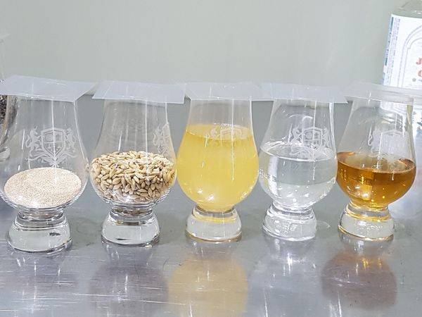 위스키 생산공정을 보여주는 재료들. 사진 왼쪽부터 발효용 효모, 맥아, 발효된 맥즙, 네번째가 증류원액(투명), 4개월 숙성한 증류액.