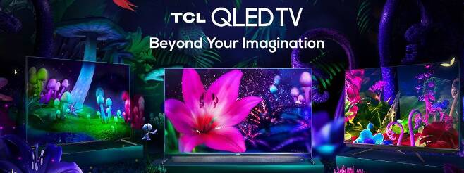 중국 TCL QLED TV. /TCL