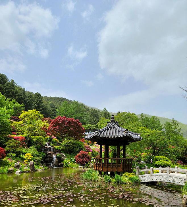 서화연