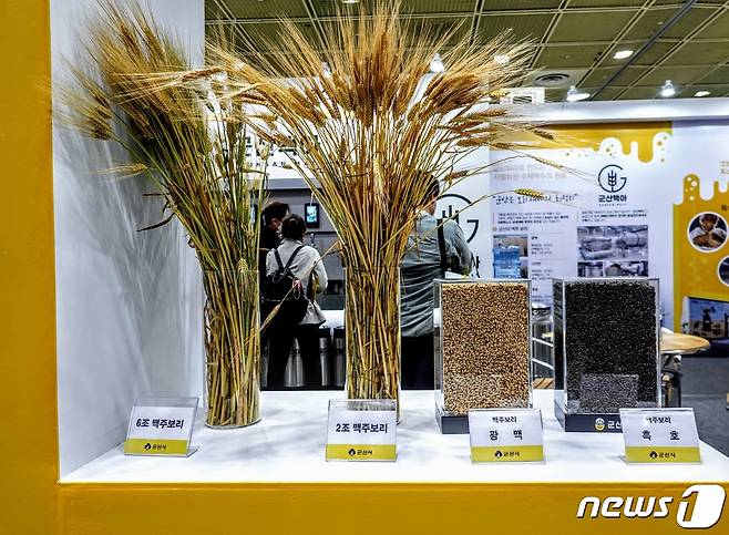 군산시가 보리에서부터 군산 맥아가 제조되는 과정을 전시하고 있다. © 뉴스1 황덕현 기자