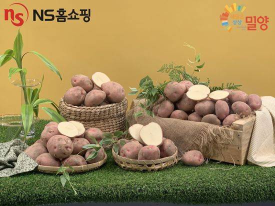 NS홈쇼핑, 밀양 특산품 '서홍감자'.