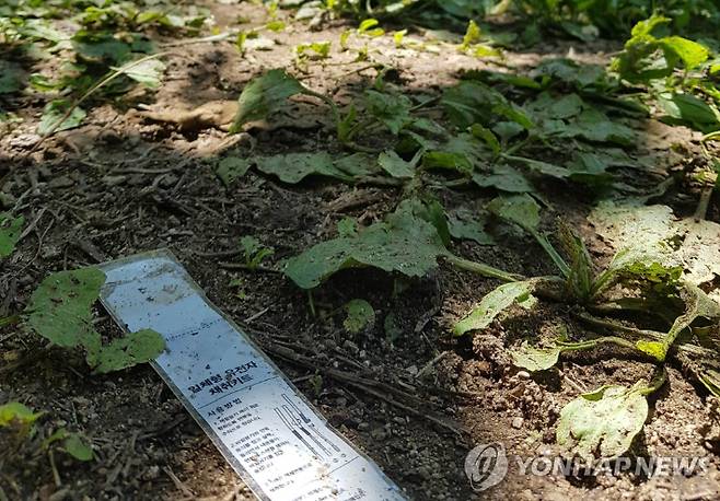 [연합뉴스 자료사진] 연합뉴스