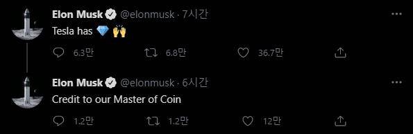 '테슬라는 다이아몬드 손을 가지고 있다'고 올린 일론 머스크의 트윗. [출처=일론 머스크의 트위터. 재배부 및 DB 금지]