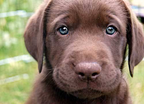 출처: 이미지출처[Pinterest]