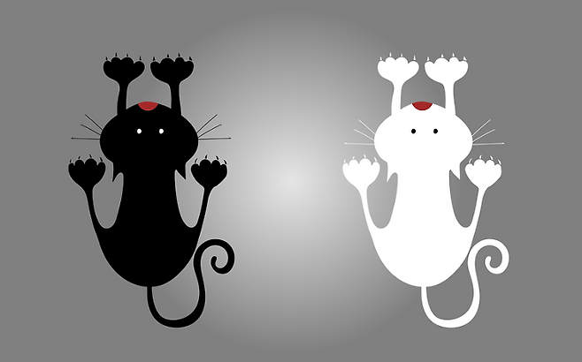 출처: 이미지출처 [pixabay]