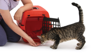 출처: 이미지출처 [pixabay]