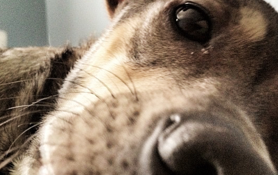 출처: 이미지출처 [pixabay]