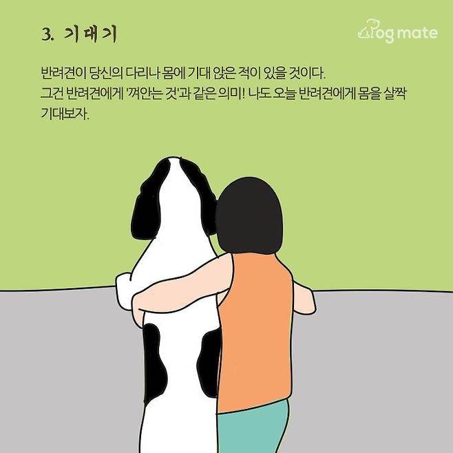 출처: 도그메이트